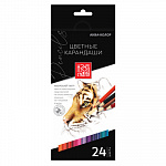 "Аква-колор" "Изостудия" IZO-CP24 Набор цветных карандашей заточенный 24 цв.
