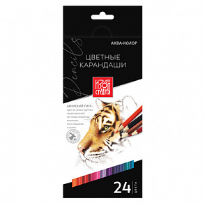 "Аква-колор" "Изостудия" IZO-CP24 Набор цветных карандашей заточенный 24 цв. – портал поставщиков НСППО - 1