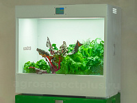 Агролаборатория ECOBOX ED – портал поставщиков НСППО