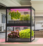 Умная теплица  "Дюймовочка" настольная Greenbar для выращивания цветов, ягод и пряных трав