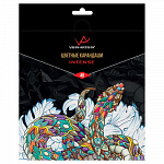 "VISTA-ARTISTA" "INTENSE" VICP-48 Набор цветных карандашей заточенный 48 цв. – портал поставщиков НСППО