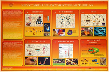 Электрифицированный стенд «Эпизоотология сельскохозяйственных животных» – портал поставщиков НСППО - 1