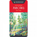 "ВКФ" "Живопись" JIV-CPM-1012 Набор цветных карандашей заточенный 12 цв.