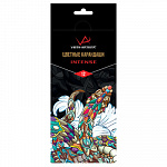 "VISTA-ARTISTA" "INTENSE" VICP-12 Набор цветных карандашей заточенный 12 цв.