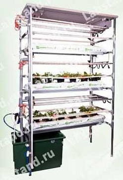 09.01.00.05 Учебно-лабораторный стенд "Гидропонная установка" КЛУБНИКА – портал поставщиков НСППО - 1