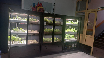 Профессиональная  биолаборатория для агрокласса на программном обеспечении "Виртуальный агроном" Greenbar LUX-35 ПАК – портал поставщиков НСППО - 1