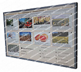 05.05.03.24 Стенд-планшет «Генетические основы селекции растений»