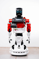 Promobot V.4 Диагност  – портал поставщиков НСППО