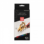 "Аква-колор" "Изостудия" IZO-CP12 Набор цветных карандашей заточенный 12 цв.