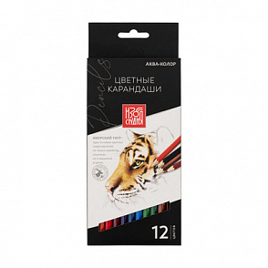 "Аква-колор" "Изостудия" IZO-CP12 Набор цветных карандашей заточенный 12 цв. – портал поставщиков НСППО - 1