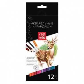 "Аква-колор" "Изостудия" IZO-WCP12 Набор акварельных карандашей заточенный 12 цв. – портал поставщиков НСППО - 1