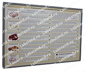 05.05.03.14 Стенд-планшет «Технология производства продукции животноводства» – портал поставщиков НСППО