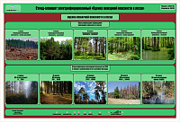 Стенд-планшет электрифицированный «Оценка пожарной опасности в лесах»  – портал поставщиков НСППО