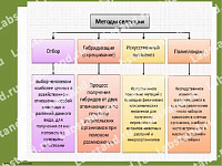 05.05.03.23 Стенд-планшет «Методы селекции» – портал поставщиков НСППО