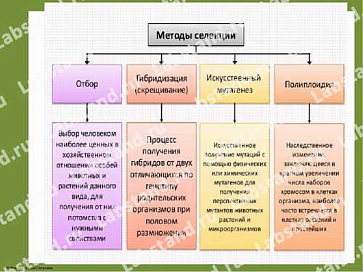 05.05.03.23 Стенд-планшет «Методы селекции» – портал поставщиков НСППО - 1