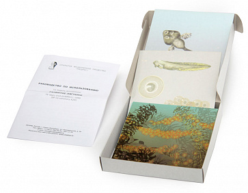 Развитие лягушки (набор из 10 карт) 15х15  К29 – портал поставщиков НСППО - 1