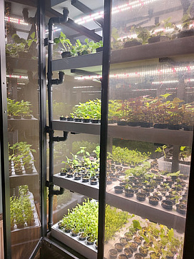 Цифровая биолаборатория PRO-5 - климатическая камера для выращивания зелени и ягод через программное обеспечение "виртуальный агроном" – портал поставщиков НСППО - 2