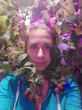 Био-лаборатория для выращивания малины – портал поставщиков НСППО - 5