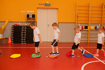 Кочки плоские 7 шт. (набор радуга) в мешке для хранения. – портал поставщиков НСППО - 2