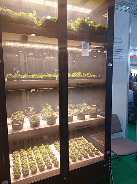 Цифровая Био-лаборатория для выращивания ягод – портал поставщиков НСППО - 8