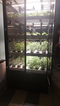 Цифровая биолаборатория GREENBAR LUX-4 ПАК ситиферма для агрокласса   управлением через мобильное приложение – портал поставщиков НСППО - 3