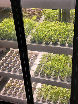 Цифровая биолаборатория PRO-5 - климатическая камера для выращивания зелени и ягод через программное обеспечение "виртуальный агроном" – портал поставщиков НСППО - 6