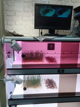 Цифровая биолаборатория Greenbar MZ-2 ПАК для выращивания микрозелени и проростков – портал поставщиков НСППО - 6