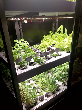 Профессиональная  биолаборатория для агрокласса на программном обеспечении "Виртуальный агроном" Greenbar LUX-35 ПАК – портал поставщиков НСППО - 4