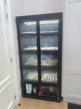 Цифровая биолаборатория GREENBAR LUX-4 ПАК ситиферма для агрокласса   управлением через мобильное приложение – портал поставщиков НСППО - 7