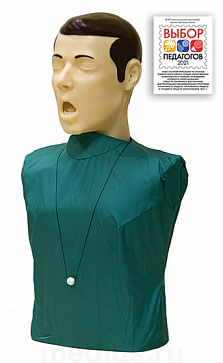 Т24 В/Р Тренажер Пётр манекен для отработки приёмов восстановления проходимости верхних дыхательных путей в положении лёжа и стоя – портал поставщиков НСППО - 1
