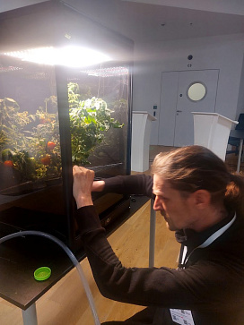 Умная теплица  ситиферма для рыращивания бонсай овощей и пряных трав  "Мажор" Greenbar  – портал поставщиков НСППО - 6