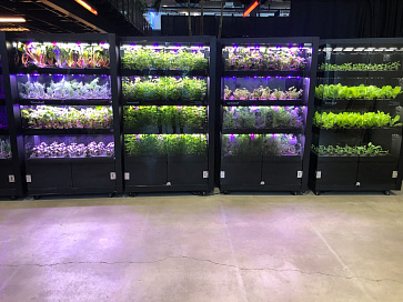 Цифровая биолаборатория - ситиферма PRO-55 ПАК для программирования роста растений – портал поставщиков НСППО - 7