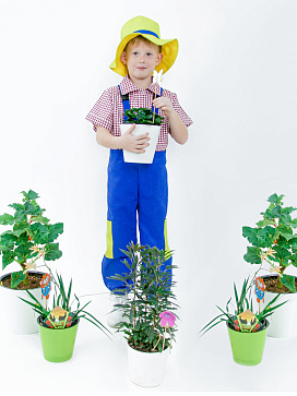 Садовник (полукомбинезон +рубашка +  головной  головной убор) – портал поставщиков НСППО - 2