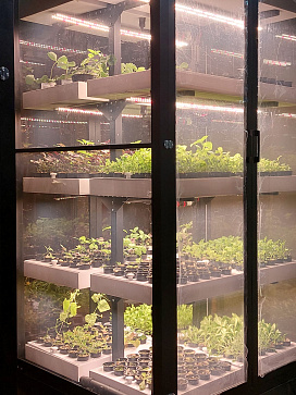 Цифровая биолаборатория PRO-5 - климатическая камера для выращивания зелени и ягод через программное обеспечение "виртуальный агроном" – портал поставщиков НСППО - 8