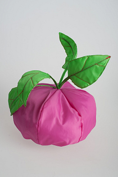 Овощ (шапочка): свекла – портал поставщиков НСППО - 4