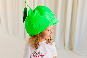 Фрукт (шапочка): яблоко – портал поставщиков НСППО - 5