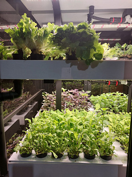 Миниферма "Мятница" для выращивания пряных трав – портал поставщиков НСППО - 5