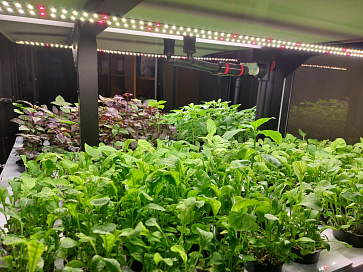 Цифровая биолаборатория PRO-5 - климатическая камера для выращивания зелени и ягод через программное обеспечение "виртуальный агроном" – портал поставщиков НСППО - 4