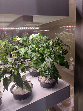 Климатическая био камера полногоцикла выращивания ягод и лекарственных многолетних трав LUX-2 с программным обеспечением Виртуальный агроном – портал поставщиков НСППО - 4