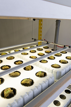 Гидропонная установка "КОНСТРУКТОР" 4 этажа – портал поставщиков НСППО - 3