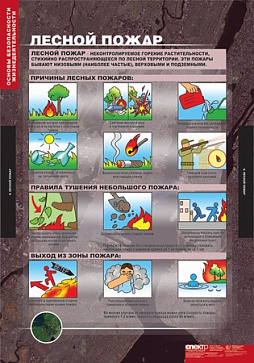 табл. Основы безопасности жизнедеятельности (13 таблиц 68х98) – портал поставщиков НСППО - 7