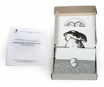 Размножение шляпочного гриба (набор из 9 карт) 15х15 – портал поставщиков НСППО - 1