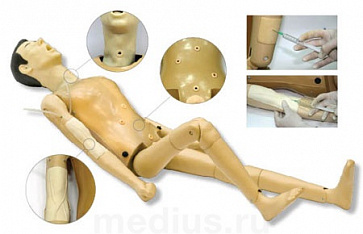 Т04 Тренажер для медицинской сестры – портал поставщиков НСППО - 1