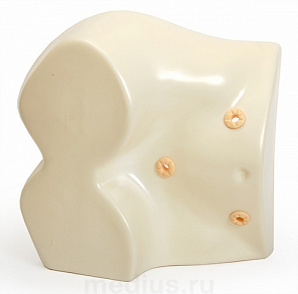 Т18 Тренажер остомии – портал поставщиков НСППО - 1