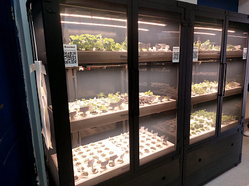 Профессиональная  биолаборатория для агрокласса на программном обеспечении "Виртуальный агроном" Greenbar LUX-35 ПАК – портал поставщиков НСППО - 7